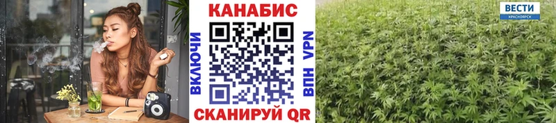 Конопля Amnesia  Жуковка 
